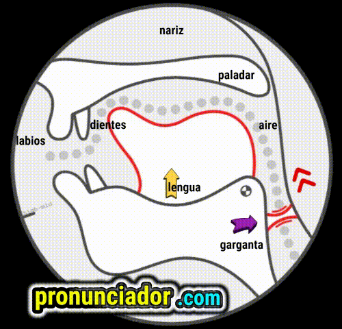 Visual Pronunciation Mechanics of /tʃ/: The physical T+SH trigger.