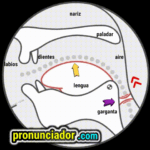 como se pronuncia vocal | consonante æ , pronunciacion en ingles escrito, pronunciacion en ingles de un texto , video | imagen | gif