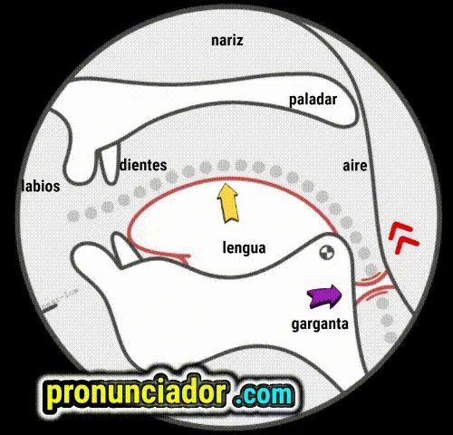 Sonido ɪ