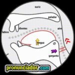 como se pronuncia vocal | consonante ar , pronunciacion en ingles escrito, pronunciacion en ingles de un texto , video | imagen | gif