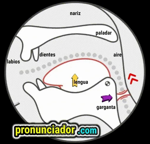 Sonido ɛ