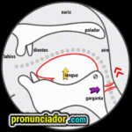 como se pronuncia vocal | consonante aɪr , pronunciacion en ingles escrito, pronunciacion en ingles de un texto , video | imagen | gif