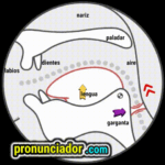 Mouth error? Consonant /ɡ/ watch our secret video guide online 13 como se pronuncia vocal | consonante aʊ , pronunciacion en ingles escrito, pronunciacion en ingles de un texto , video | imagen | gif