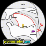 Check This Common Vowel sound /æ/ Error: Watch Video and Copy! 11 como se pronuncia vocal | consonante ð , pronunciacion en ingles escrito, pronunciacion en ingles de un texto , video | imagen | gif