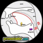 Check This Common Vowel sound /æ/ Error: Watch Video and Copy! 10 como se pronuncia vocal | consonante ð , pronunciacion en ingles escrito, pronunciacion en ingles de un texto , video | imagen | gif
