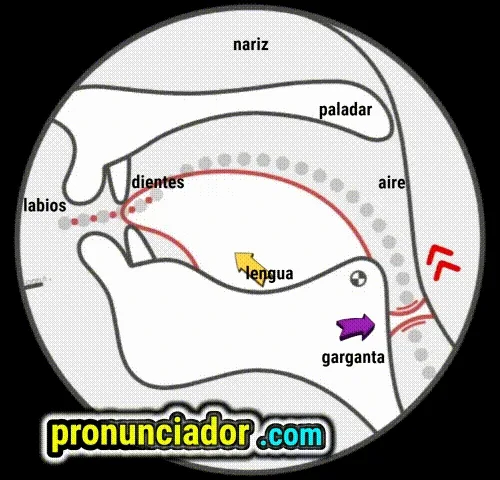 como se pronuncia vocal | consonante d , pronunciacion en ingles escrito, pronunciacion en ingles de un texto , video | imagen | gif