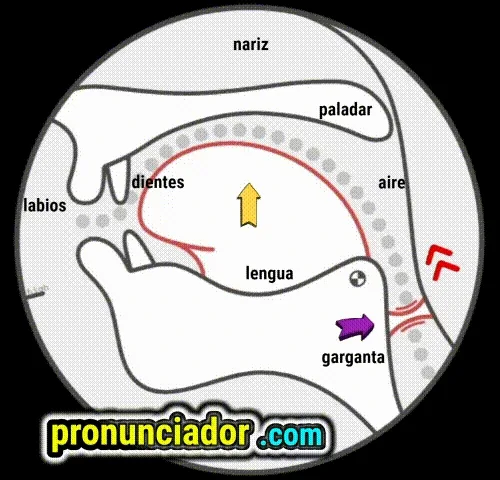 Sonido i