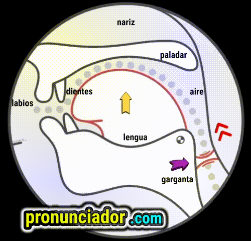 Domina la 'I' Corta /ɪ/: El Secreto para Dejar de Decir Malabras en Inglés 7 como se pronuncia vocal | consonante j , pronunciacion en ingles escrito, pronunciacion en ingles de un texto , video | imagen | gif