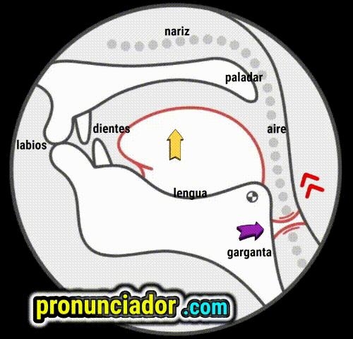 La Guía Definitiva de la Vocal /æ/: El Sonido que Delata tu Acento (Edición USA vs UK) 1 como se pronuncia vocal | consonante m , pronunciacion en ingles escrito, pronunciacion en ingles de un texto , video | imagen | gif