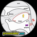 como se pronuncia vocal | consonante oʊ , pronunciacion en ingles escrito, pronunciacion en ingles de un texto , video | imagen | gif