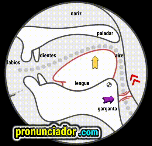 Oops! Common /f/ pronunciation 'F'umbles & How to Fix 'Em! 6 como se pronuncia vocal | consonante oʊ , pronunciacion en ingles escrito, pronunciacion en ingles de un texto , video | imagen | gif
