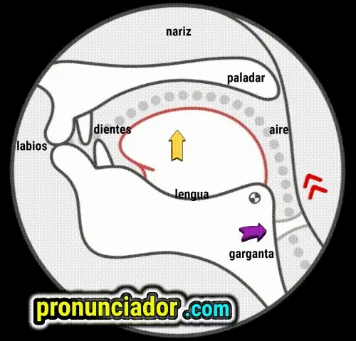 como se pronuncia vocal | consonante p , pronunciacion en ingles escrito, pronunciacion en ingles de un texto , video | imagen | gif