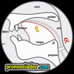 Copy the exact mouth shape! Vowel sound /ʌ/ Master Video. 11 como se pronuncia vocal | consonante t , pronunciacion en ingles escrito, pronunciacion en ingles de un texto , video | imagen | gif