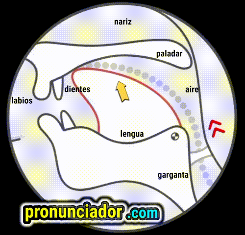 Copy the exact mouth shape! Vowel sound /ʌ/ Master Video. 1 como se pronuncia vocal | consonante t , pronunciacion en ingles escrito, pronunciacion en ingles de un texto , video | imagen | gif