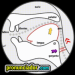 como se pronuncia vocal | consonante u , pronunciacion en ingles escrito, pronunciacion en ingles de un texto , video | imagen | gif
