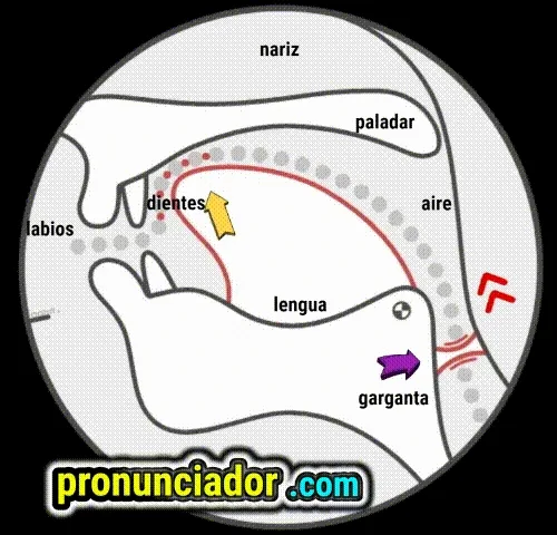 como se pronuncia vocal | consonante z , pronunciacion en ingles escrito, pronunciacion en ingles de un texto , video | imagen | gif