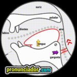 Fix This Common Mistake! Vowel sound /ɪ/ - Watch Video Guide 9 como se pronuncia vocal | consonante ɔɪ , pronunciacion en ingles escrito, pronunciacion en ingles de un texto , video | imagen | gif