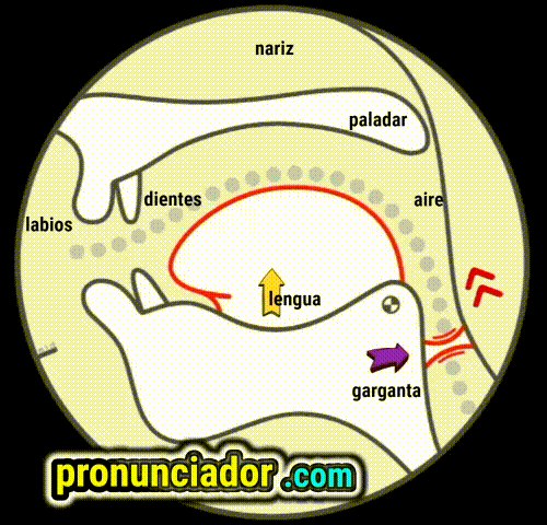 como se pronuncia vocal | consonante ə , pronunciacion en ingles escrito, pronunciacion en ingles de un texto , video | imagen | gif