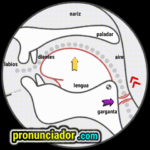 como se pronuncia vocal | consonante ɪ , pronunciacion en ingles escrito, pronunciacion en ingles de un texto , video | imagen | gif