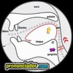 como se pronuncia vocal | consonante ʊ , pronunciacion en ingles escrito, pronunciacion en ingles de un texto , video | imagen | gif