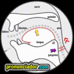Muffled pronunciation? Vowel sound /aɪ/ Correct with Video 10 como se pronuncia vocal | consonante ʌ , pronunciacion en ingles escrito, pronunciacion en ingles de un texto , video | imagen | gif